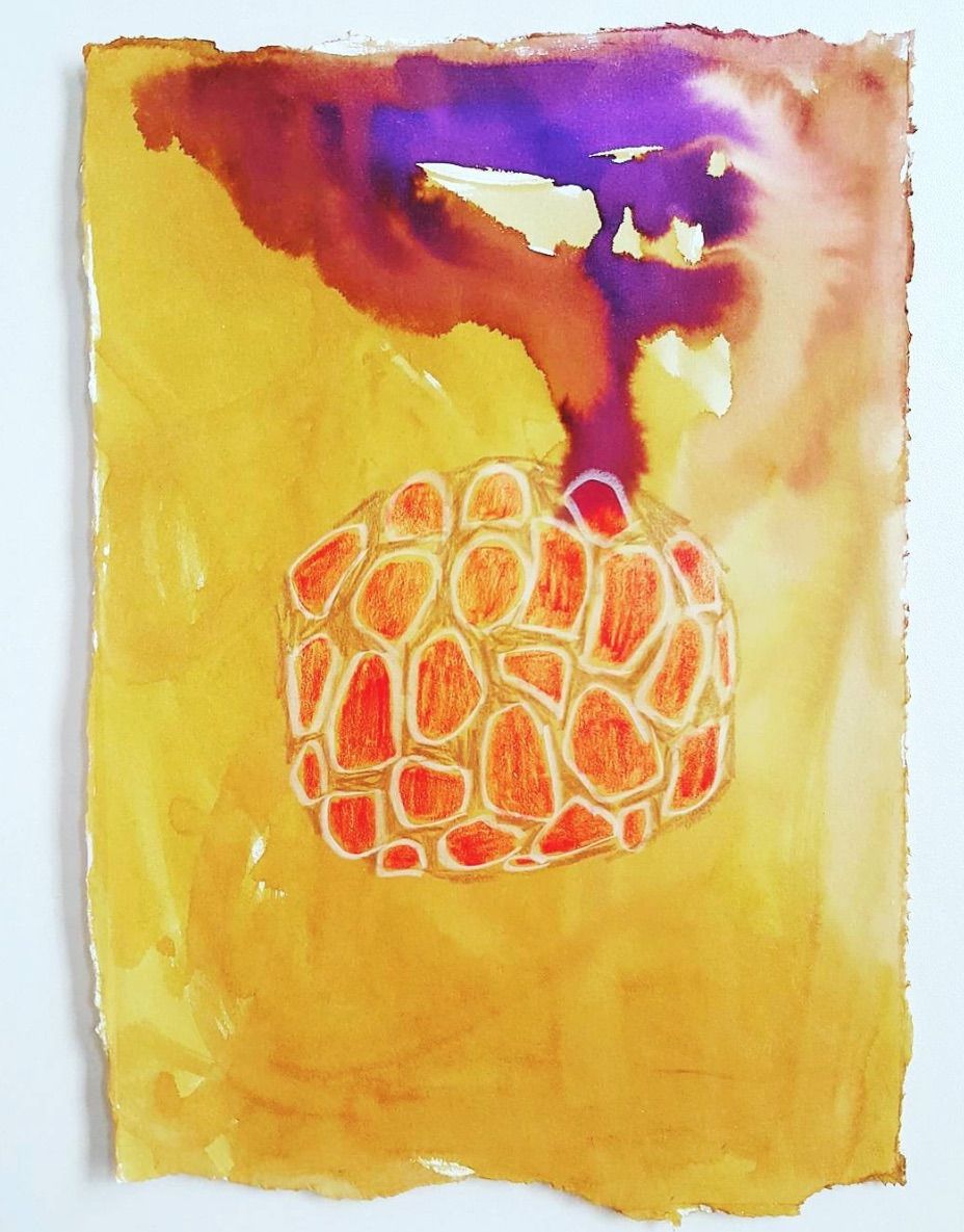 Tanja Ritterbex - Food Series