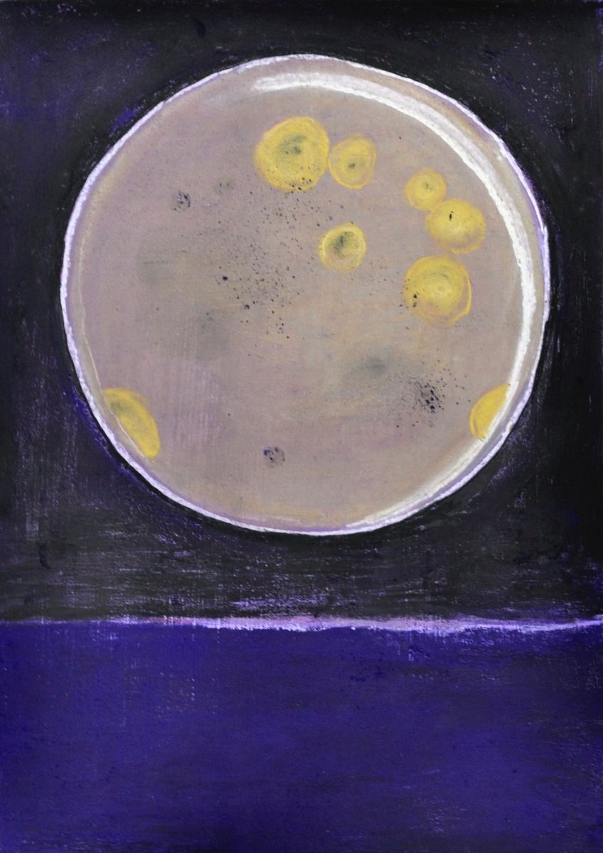 Anook Cléonne - Beginning of sediment