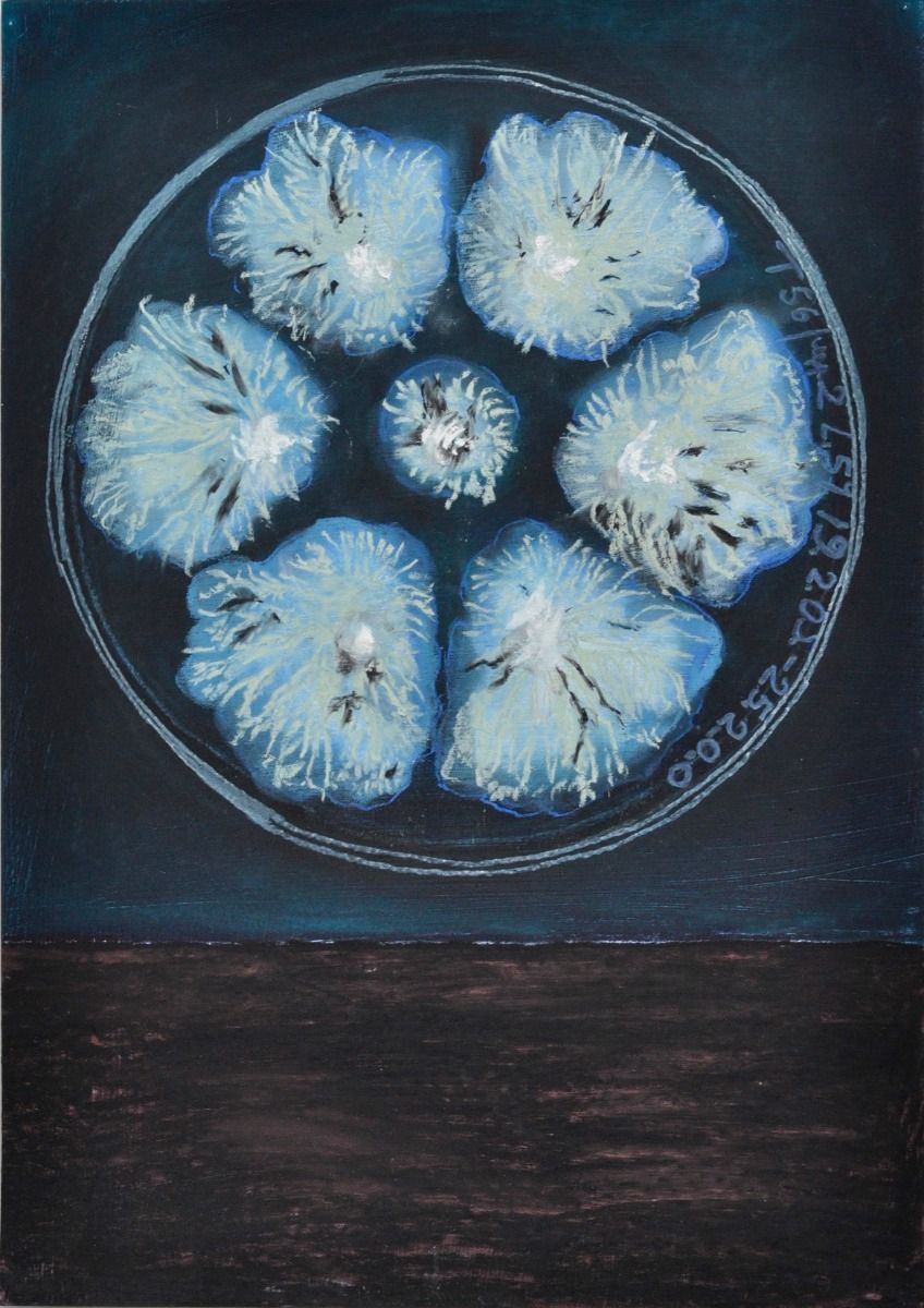 Anook Cléonne - Beginning of sediment