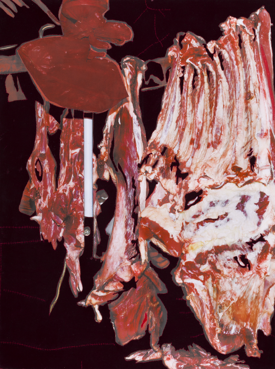 Berend Strik - Suspended Blurr