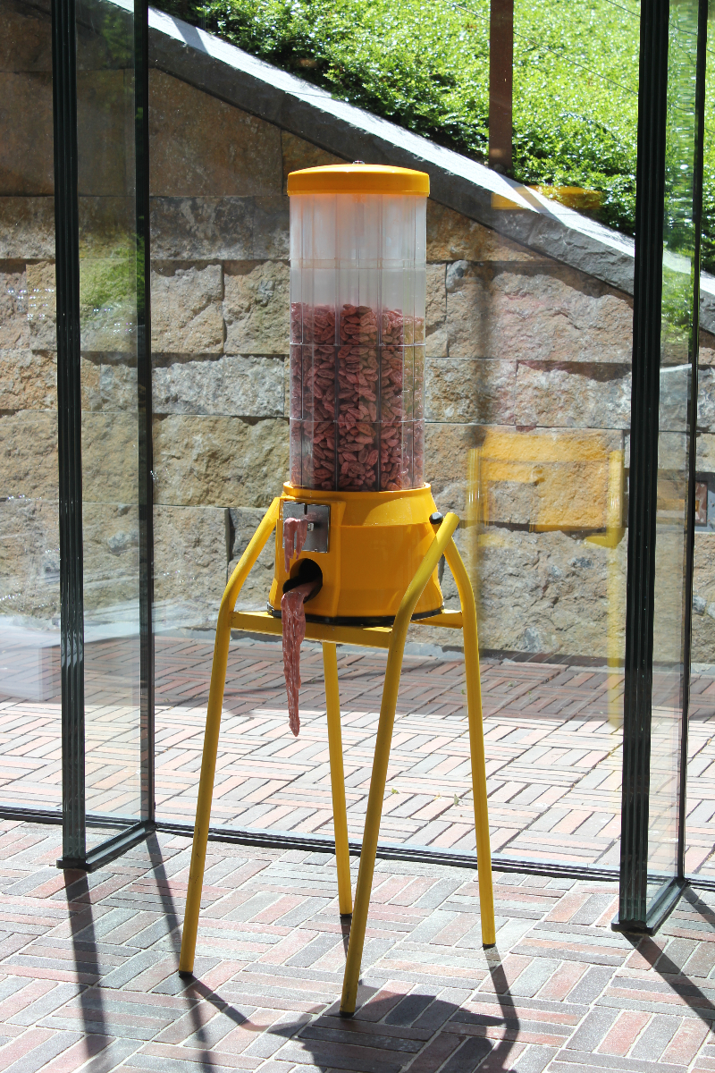 Kira Fröse - Ancient superfood