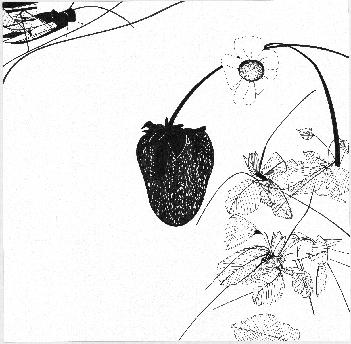 Mariette Meijers - Kastwerk