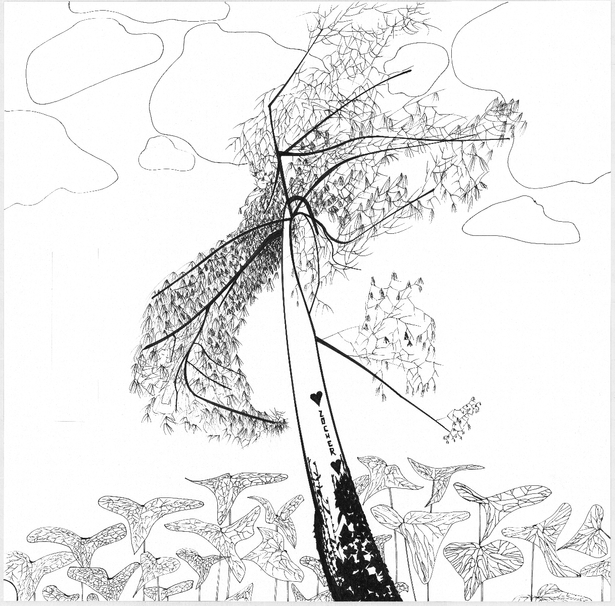 Mariette Meijers - Kastwerk