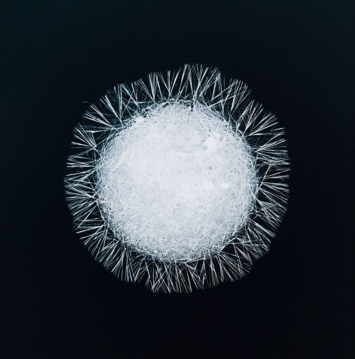 Sarah Schönfeld - All You Can Feel - Caffeine