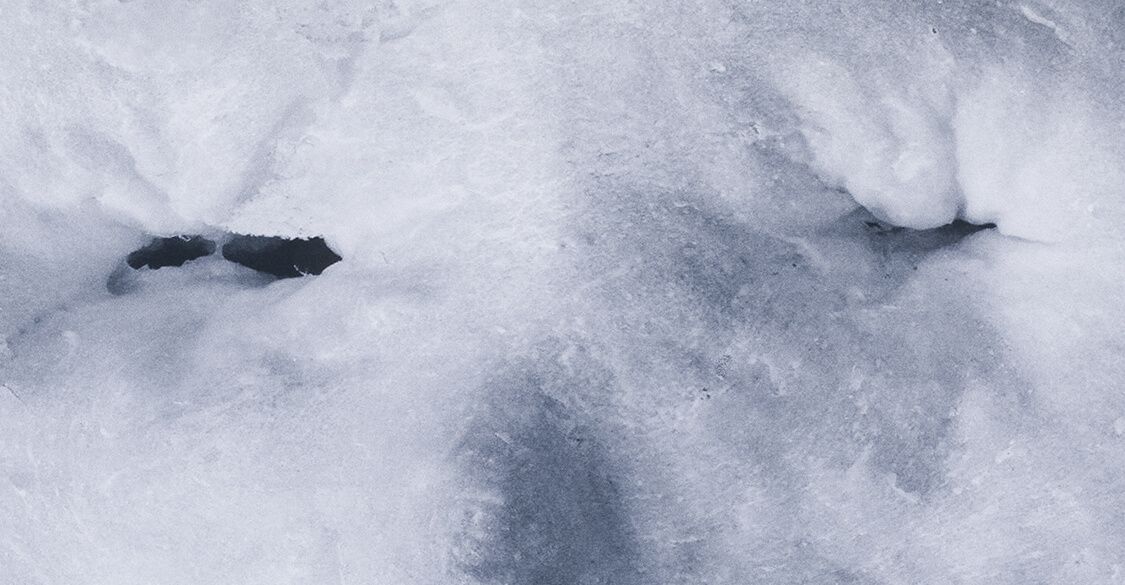 Silvia Steiger - Deegportretten