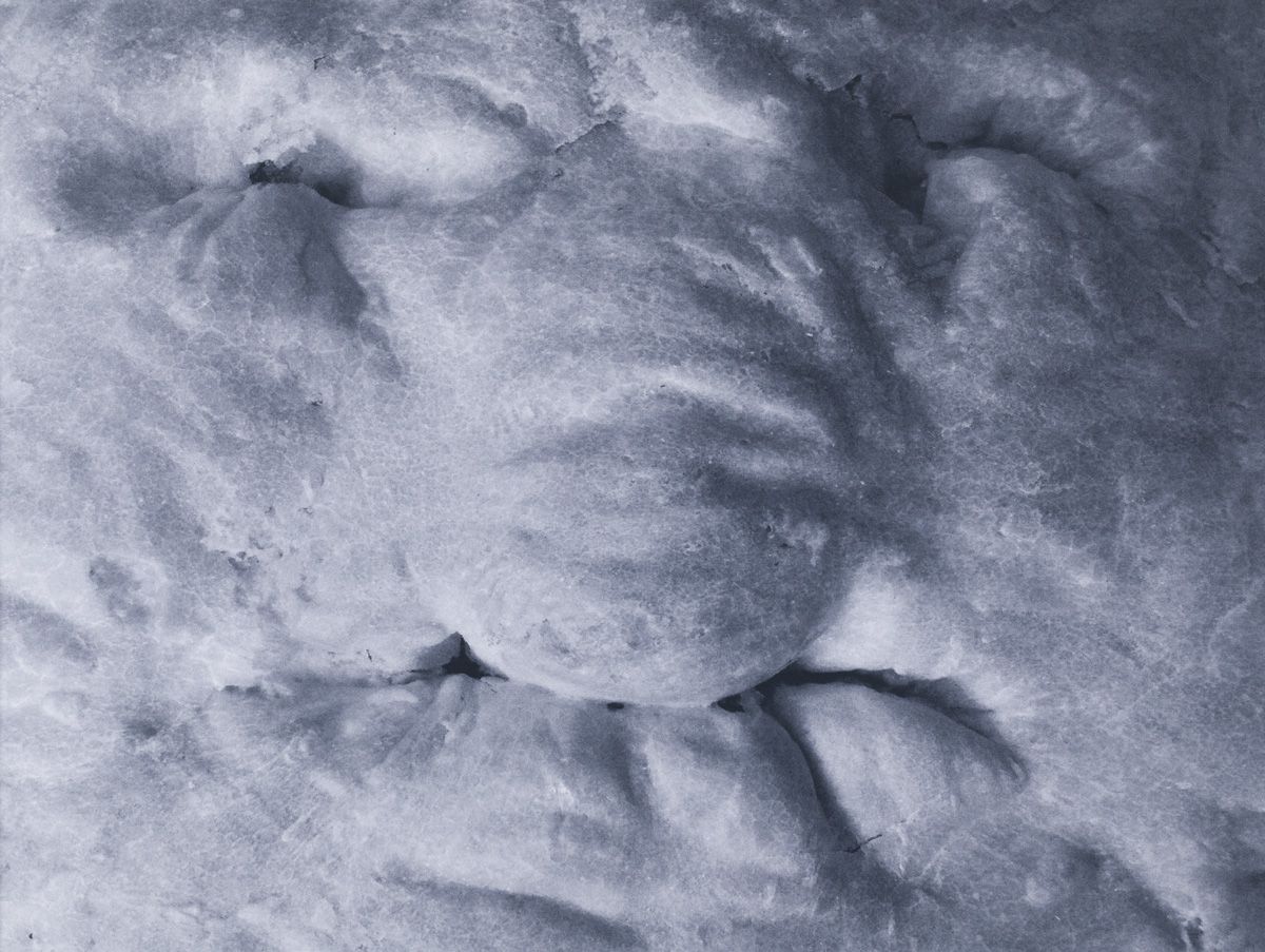 Silvia Steiger - Deegportretten