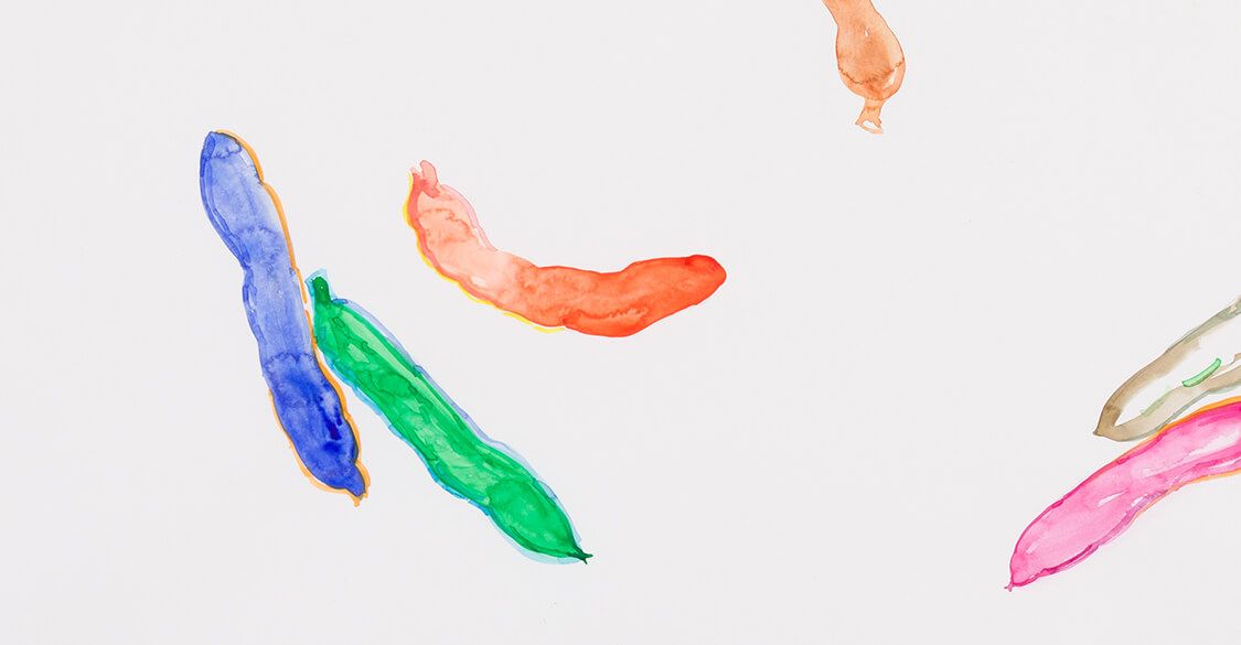 Silvia Steiger - Signs of fruit