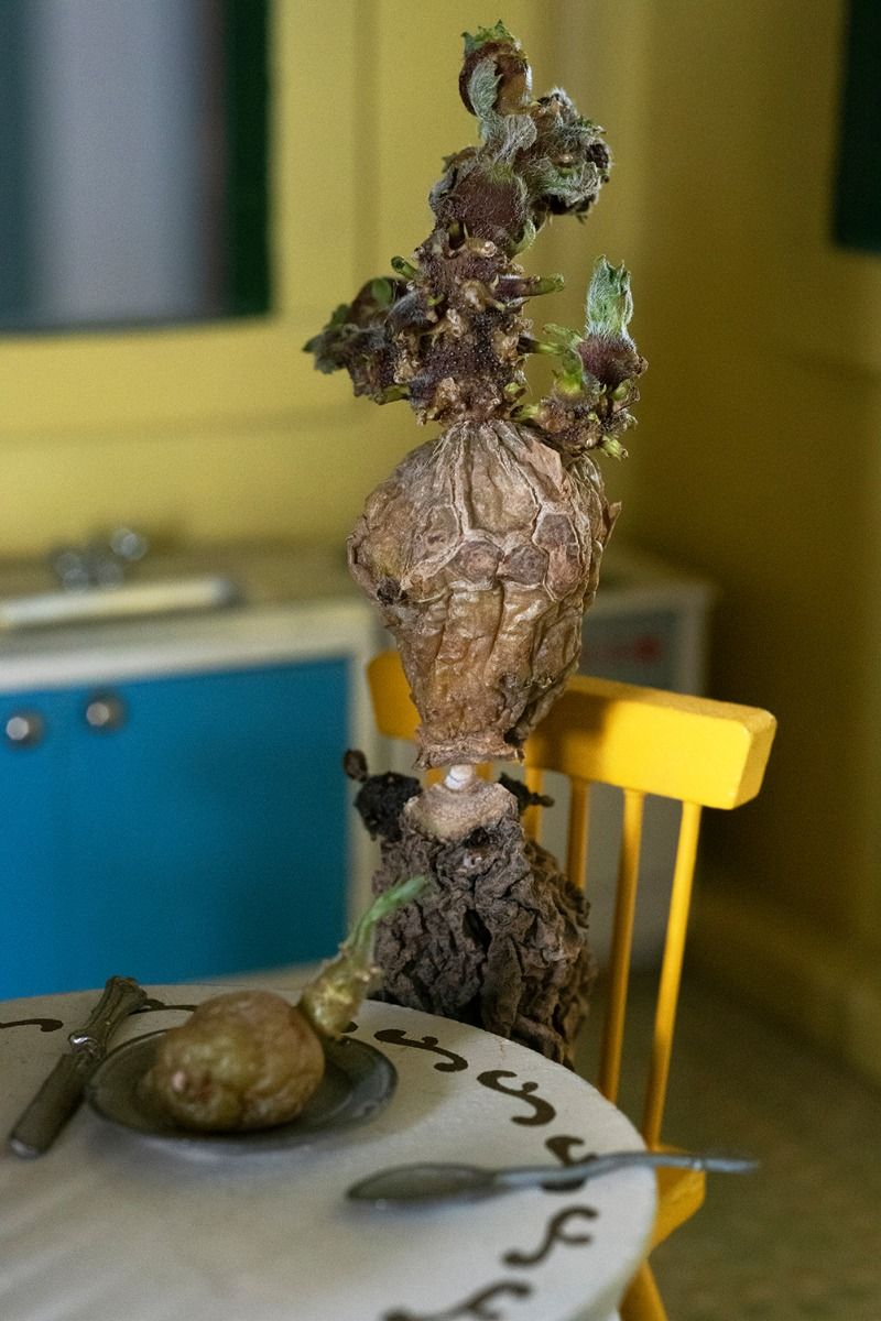 Ellen Mandemaker - The transformation of Jacky no.4