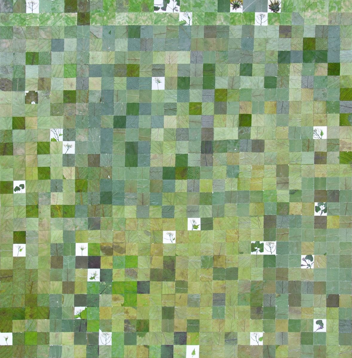 Milah van Zuilen - Edible leaves from Keukenhofbos